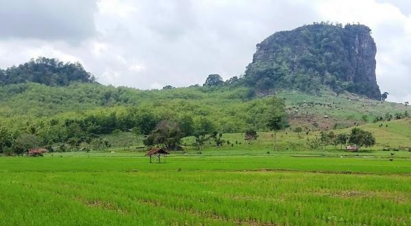 Menjelajahi Gunung Gajah Pemalang: Perpaduan Lanskap Batu Eksotis dan Cerita Mitos