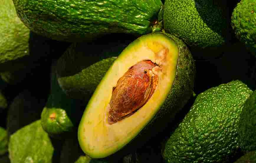 Ragam Khasiat Buah Alpukat Bagi Kesehatan Tubuh Menurut Pakar Nutrisi