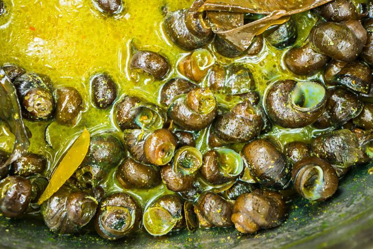 Kelezatan Siput Sawah Berkuah Rempah yang Penuh Nostalgia